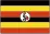 UG